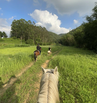 Xintianji Equestrian Riding, Horse Riding in Provincial Forest Park. Kids Above 9yrs Welcomed! photo 2
