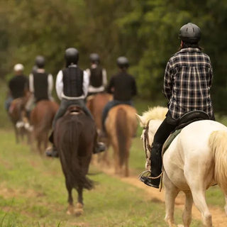 Xintianji Equestrian Riding, Horse Riding in Provincial Forest Park. Kids Above 9yrs Welcomed! photo 3